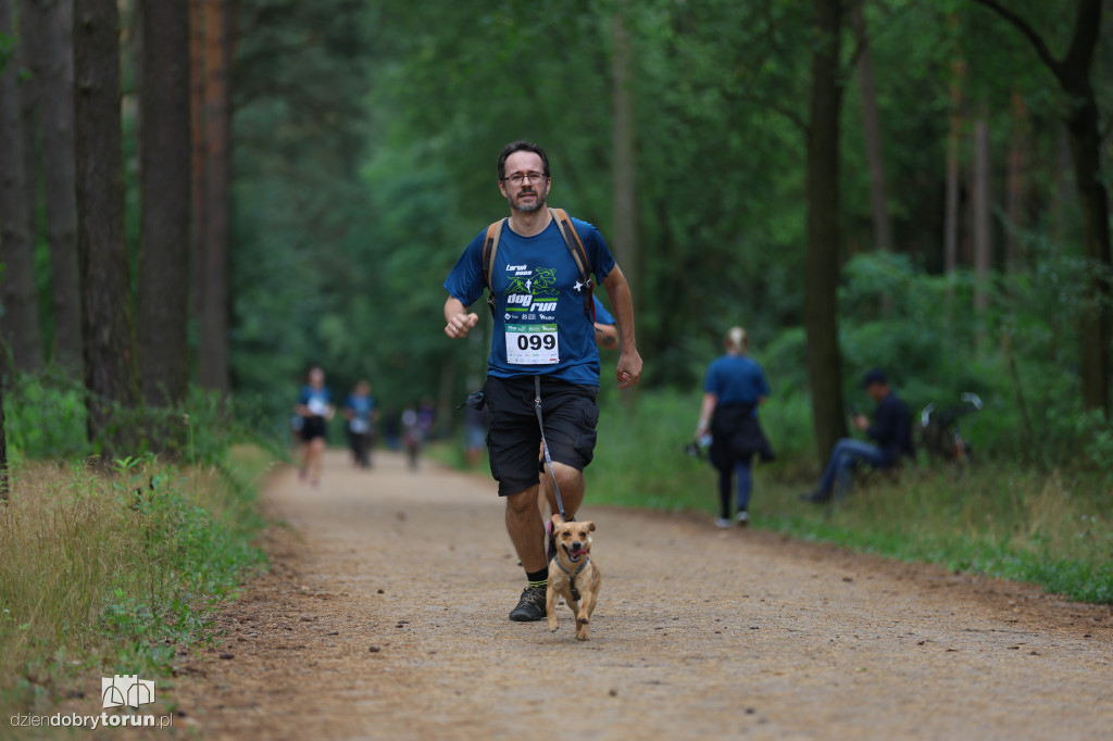 Run Dog w podtoruńskim lesie