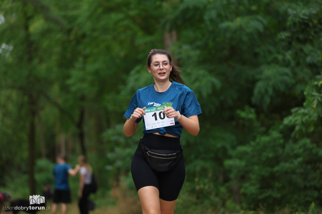 Run Dog w podtoruńskim lesie