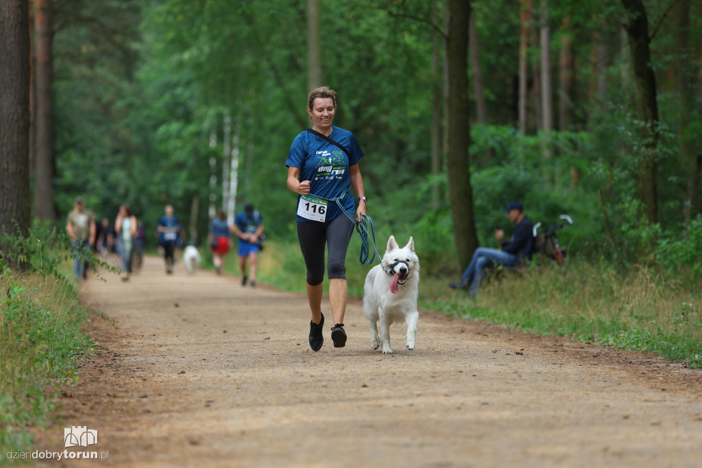 Run Dog w podtoruńskim lesie