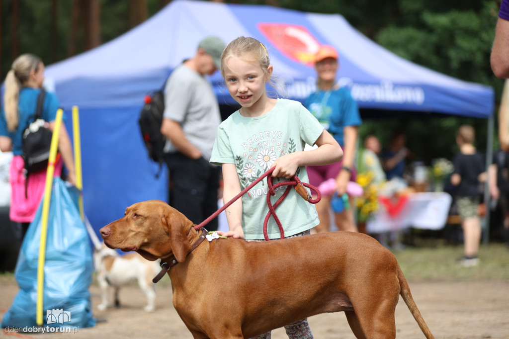 Run Dog w podtoruńskim lesie