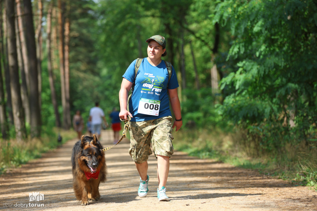 Run Dog w podtoruńskim lesie