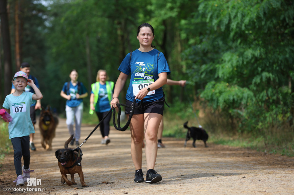 Run Dog w podtoruńskim lesie