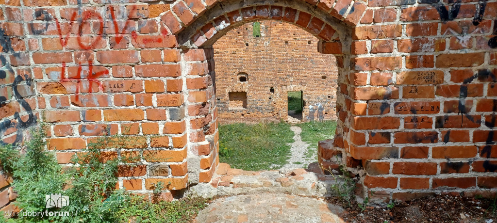 Ruiny Zamku Dybowskiego i okolice