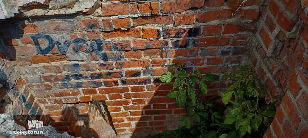 Ruiny Zamku Dybowskiego i okolice