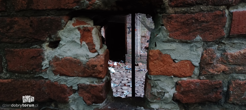 Ruiny Zamku Dybowskiego i okolice