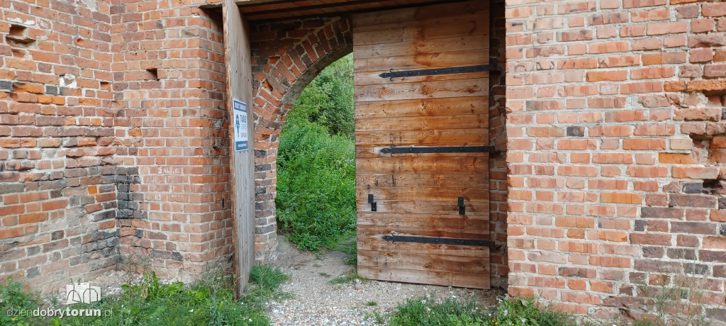 Ruiny Zamku Dybowskiego i okolice
