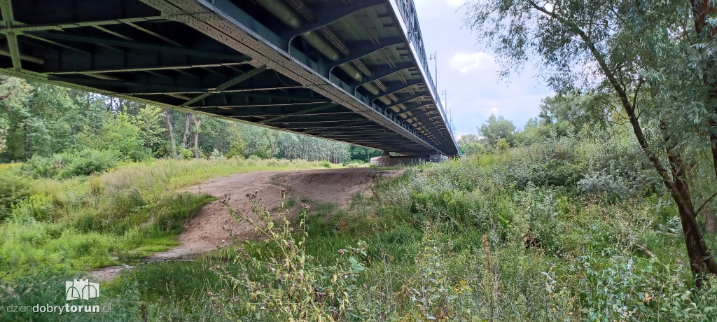 Ruiny Zamku Dybowskiego i okolice