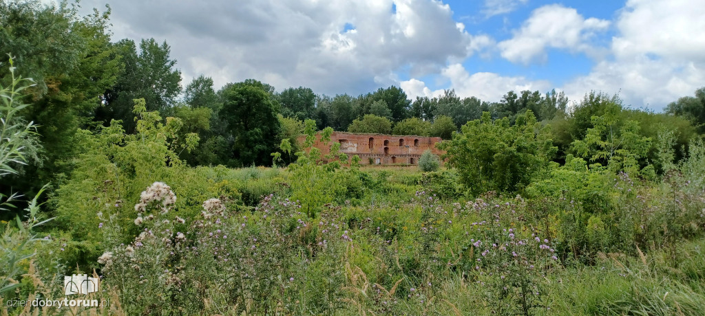 Ruiny Zamku Dybowskiego i okolice