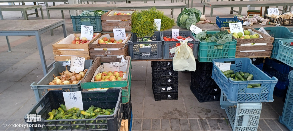 Ceny owoców i warzyw na targowisku dnia 24.08