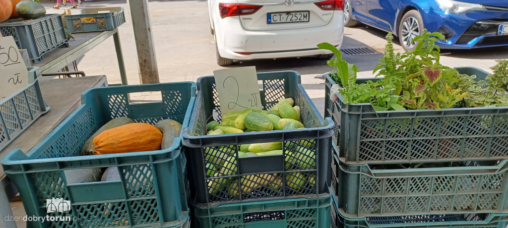 Ceny owoców i warzyw na targowisku dnia 24.08