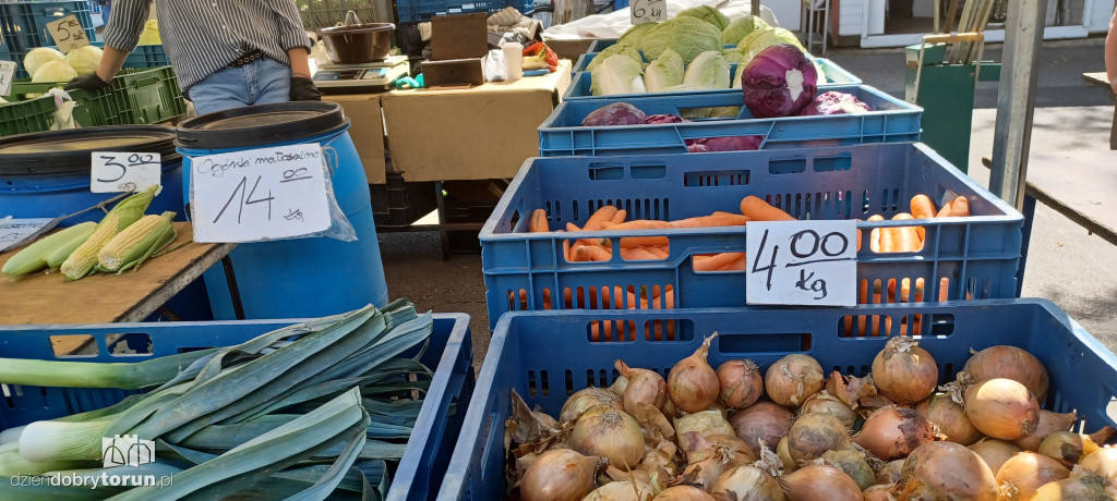 Ceny owoców i warzyw na targowisku dnia 24.08