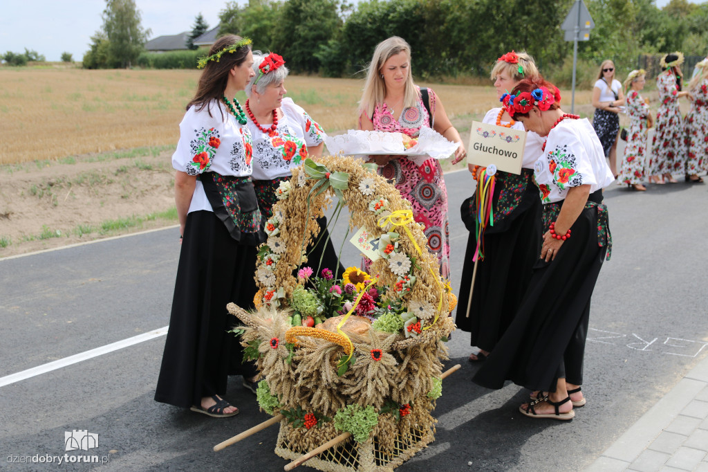 Powiatowo-Gminne Dożynki w Grzywnie