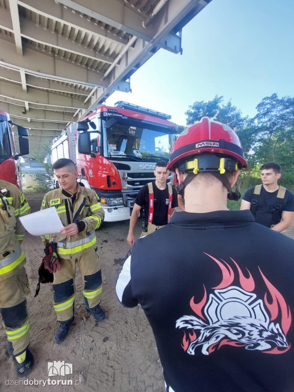 Akcja straży w pobliżu mostu