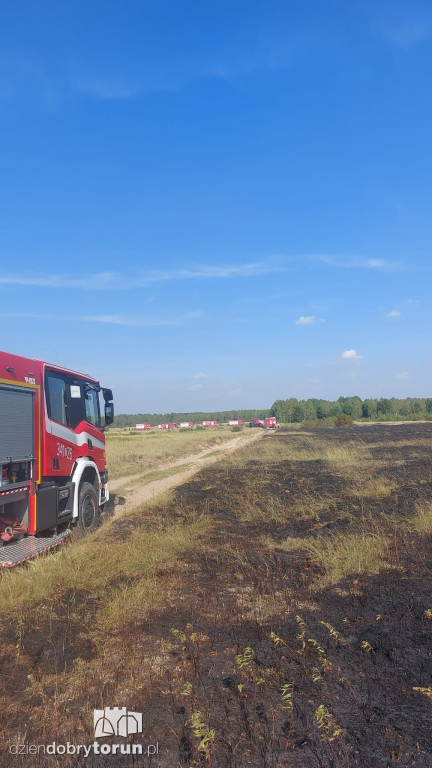 Pożar lasu przy poligonie wojskowym