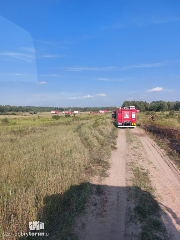 Pożar lasu przy poligonie wojskowym