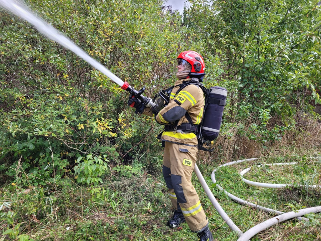 Pożar pustostanu w okolicach Chełmży