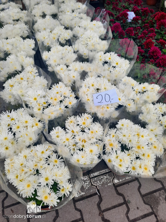 Kwiaty i znicze na toruńskim targowisku