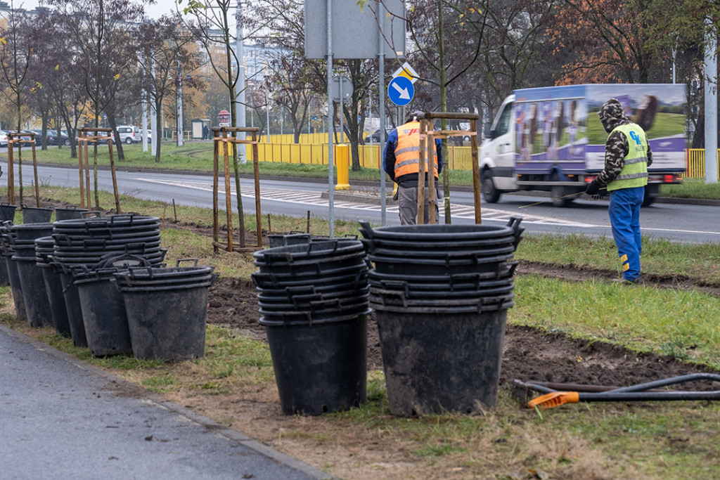 Zielony korytarz na Gagarina