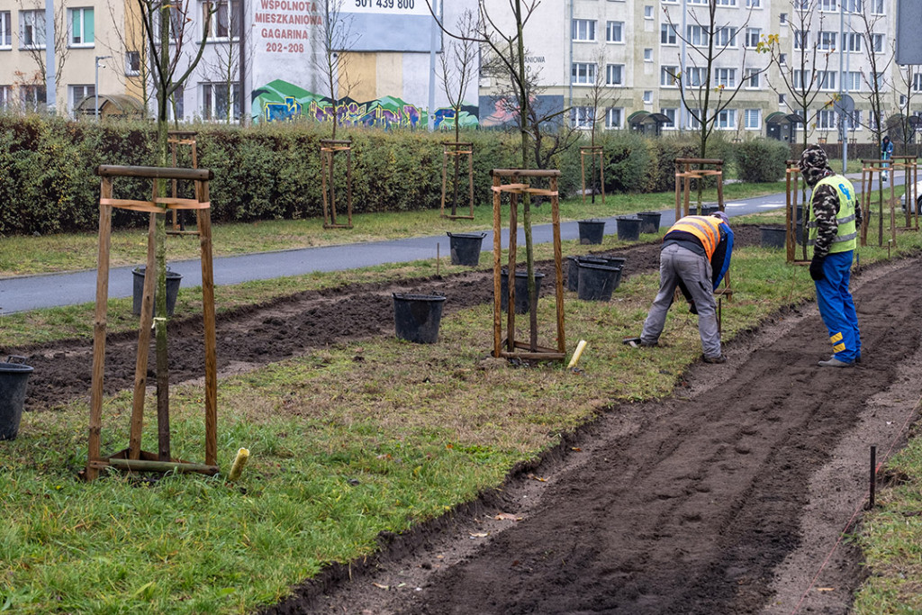 Zielony korytarz na Gagarina