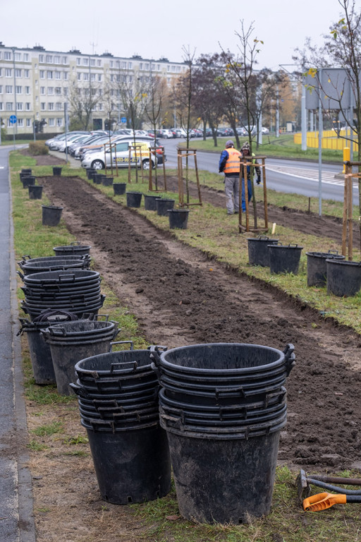 Zielony korytarz na Gagarina