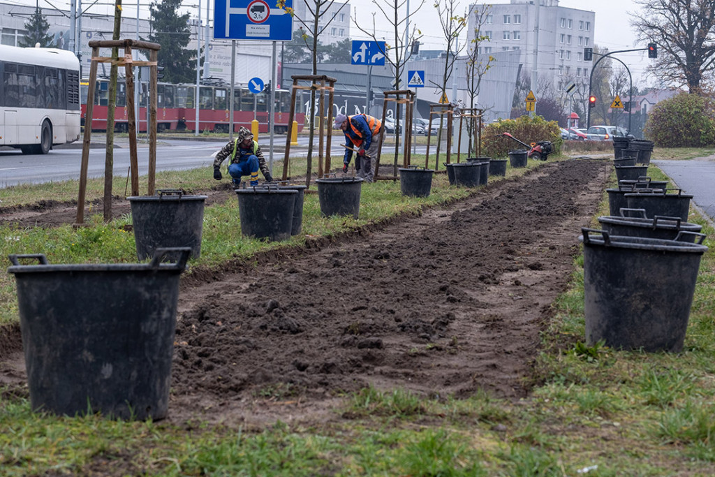 Zielony korytarz na Gagarina