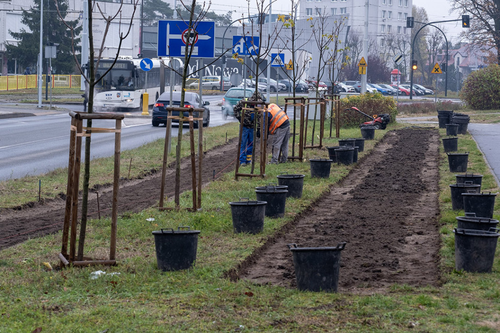 Zielony korytarz na Gagarina