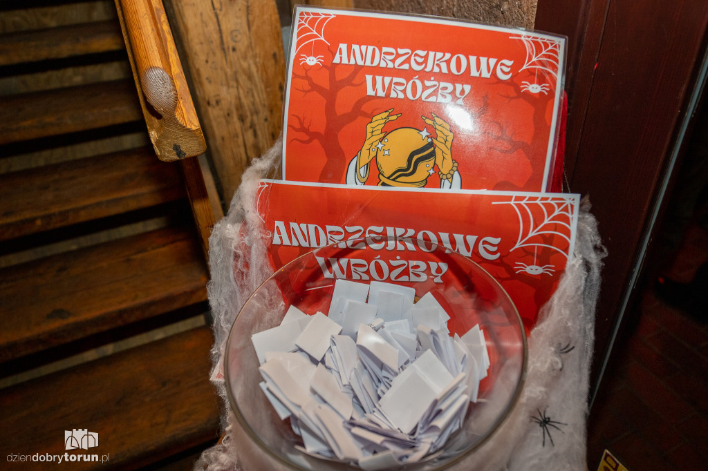 Integracyjna Impreza Andrzejkowa w Lizard Kingu