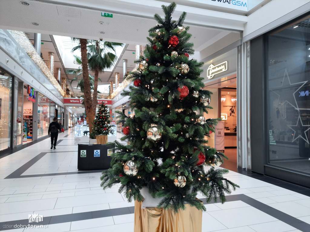 Świąteczne ozdoby w Toruń Plaza