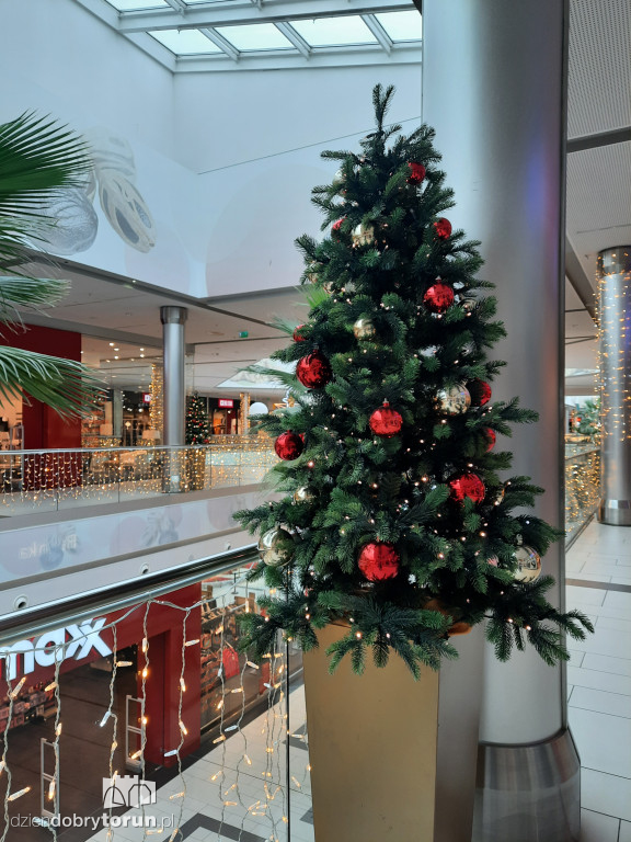 Świąteczne ozdoby w Toruń Plaza
