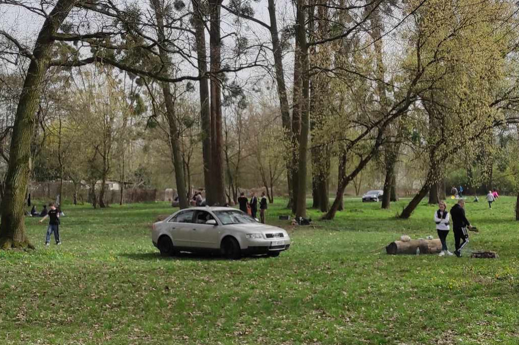 Zobacz, co działo się na Martówce