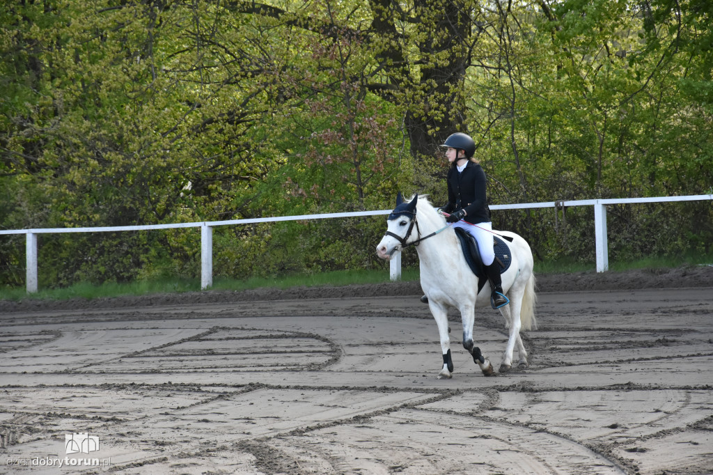 Turniej skoków konnych