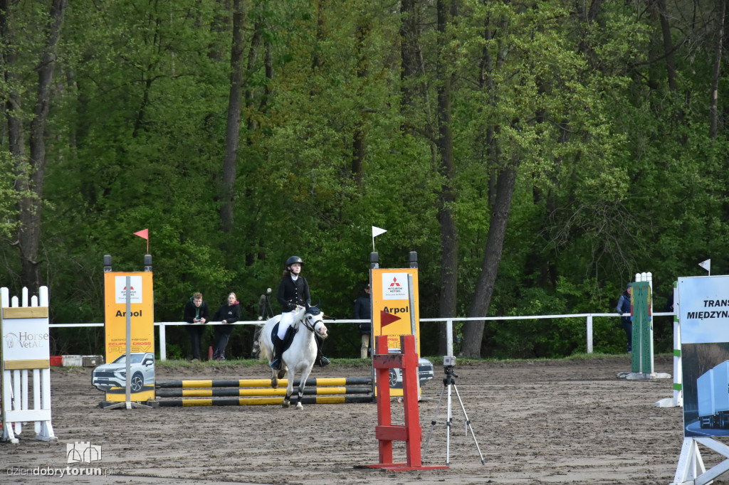 Turniej skoków konnych