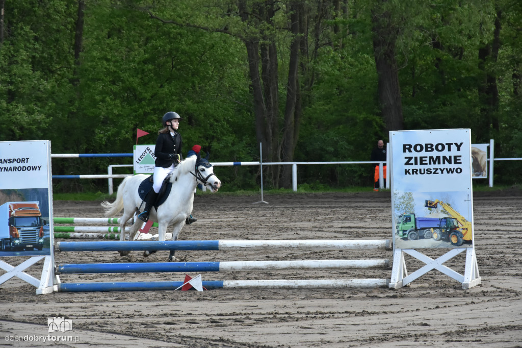 Turniej skoków konnych