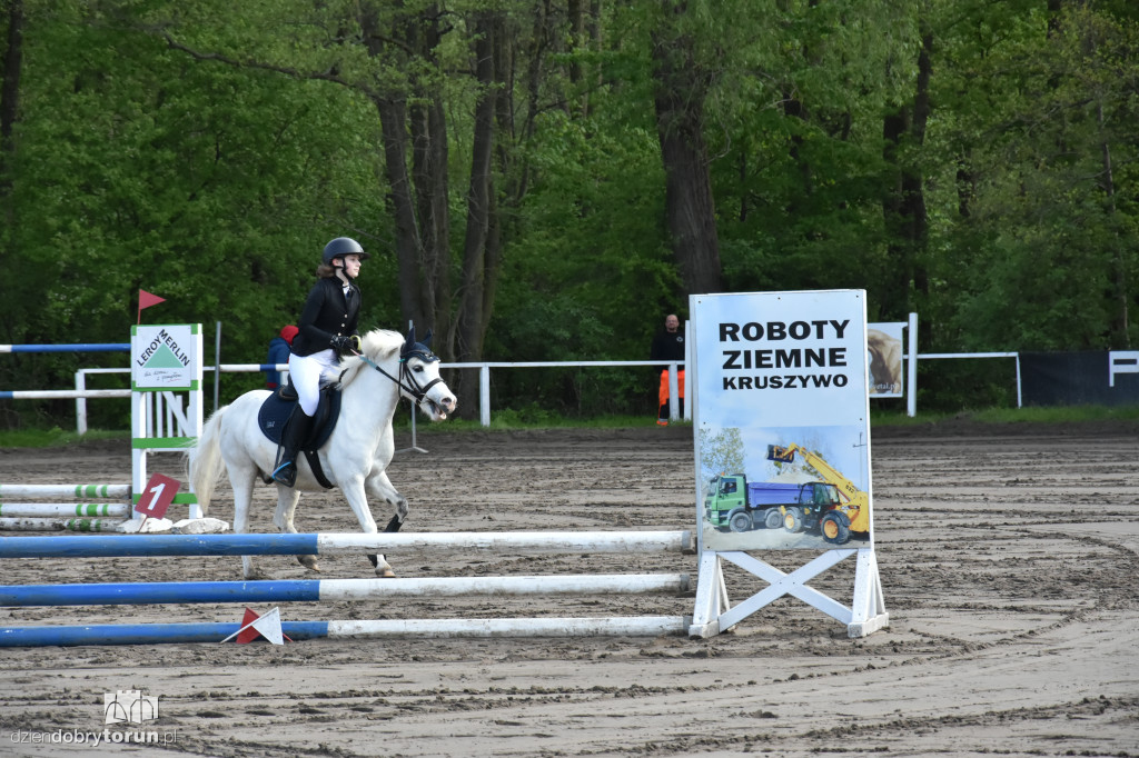 Turniej skoków konnych