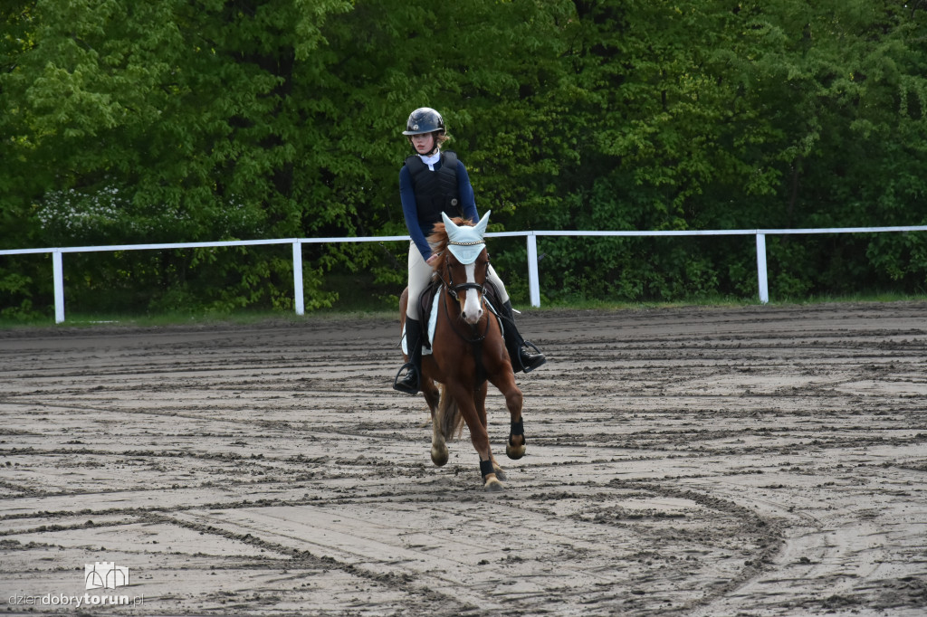 Turniej skoków konnych