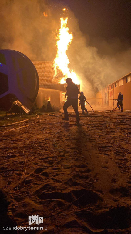 Pożar stadniny pod Solcem Kujawskim