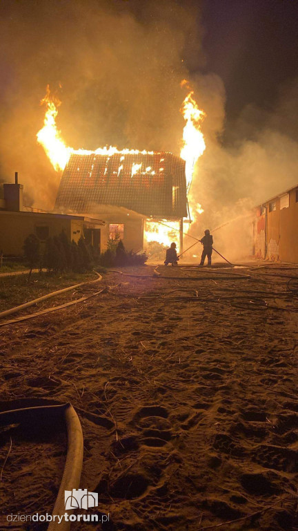 Pożar stadniny pod Solcem Kujawskim