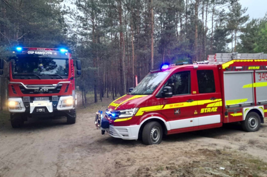 Pożar lasu w Obrowie