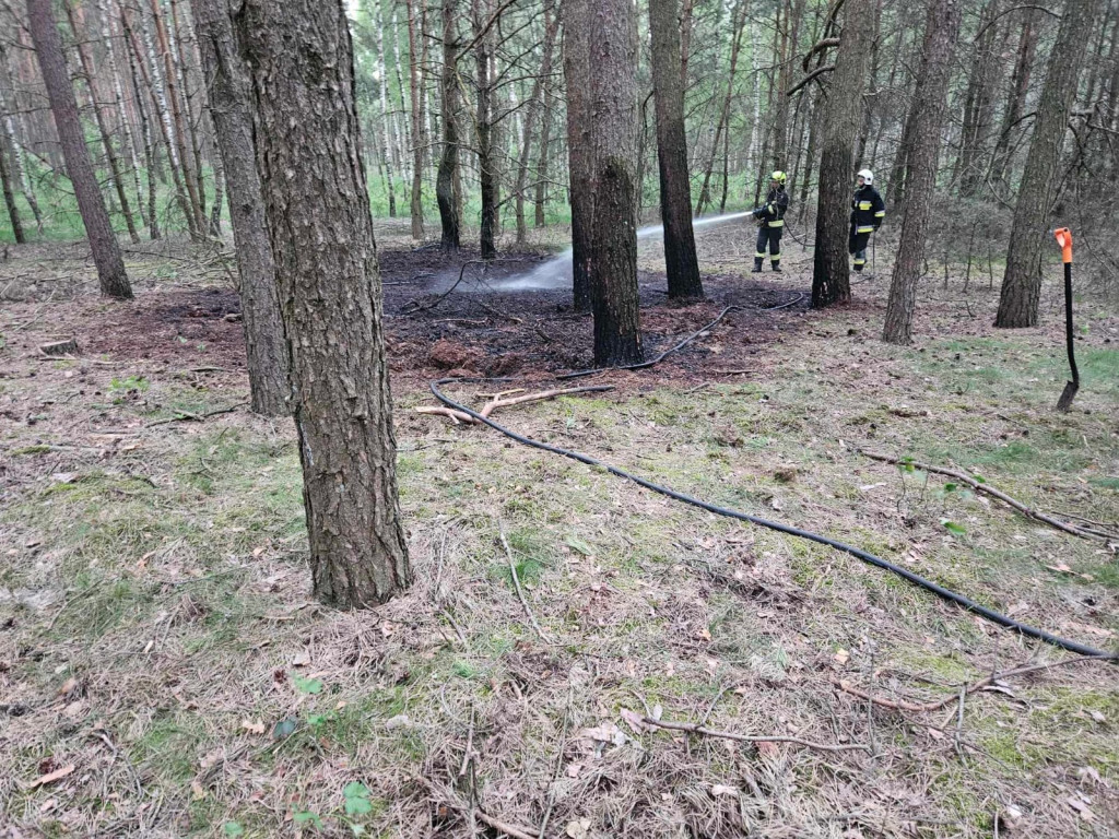 Pożar lasu w Obrowie