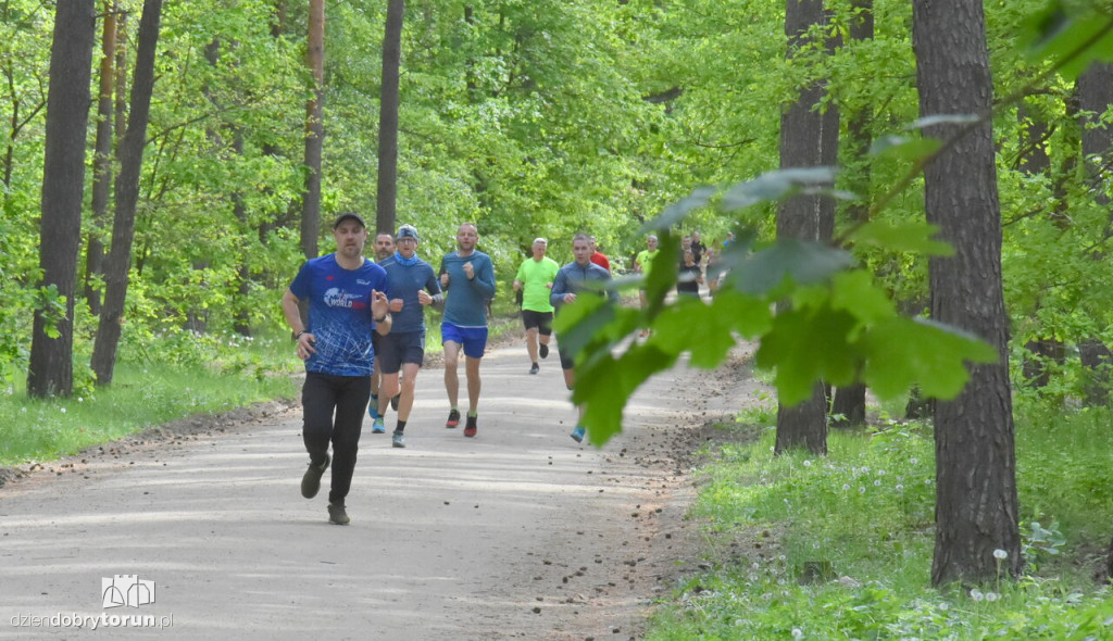 Sobotni parkrun w Toruniu