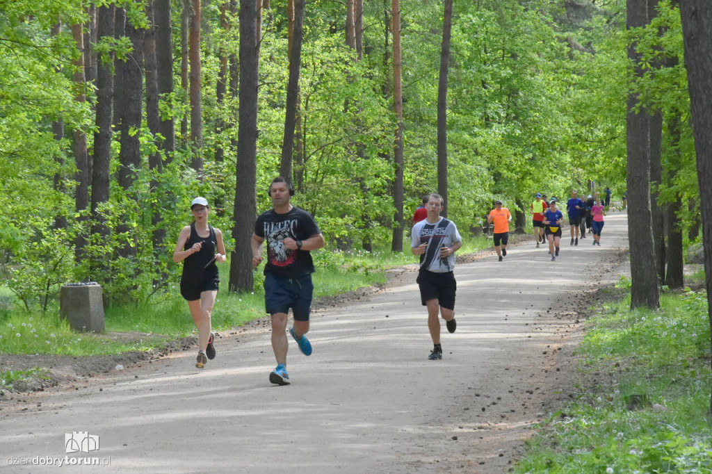 Sobotni parkrun w Toruniu