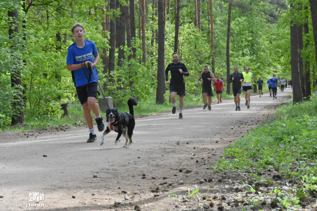 Sobotni parkrun w Toruniu