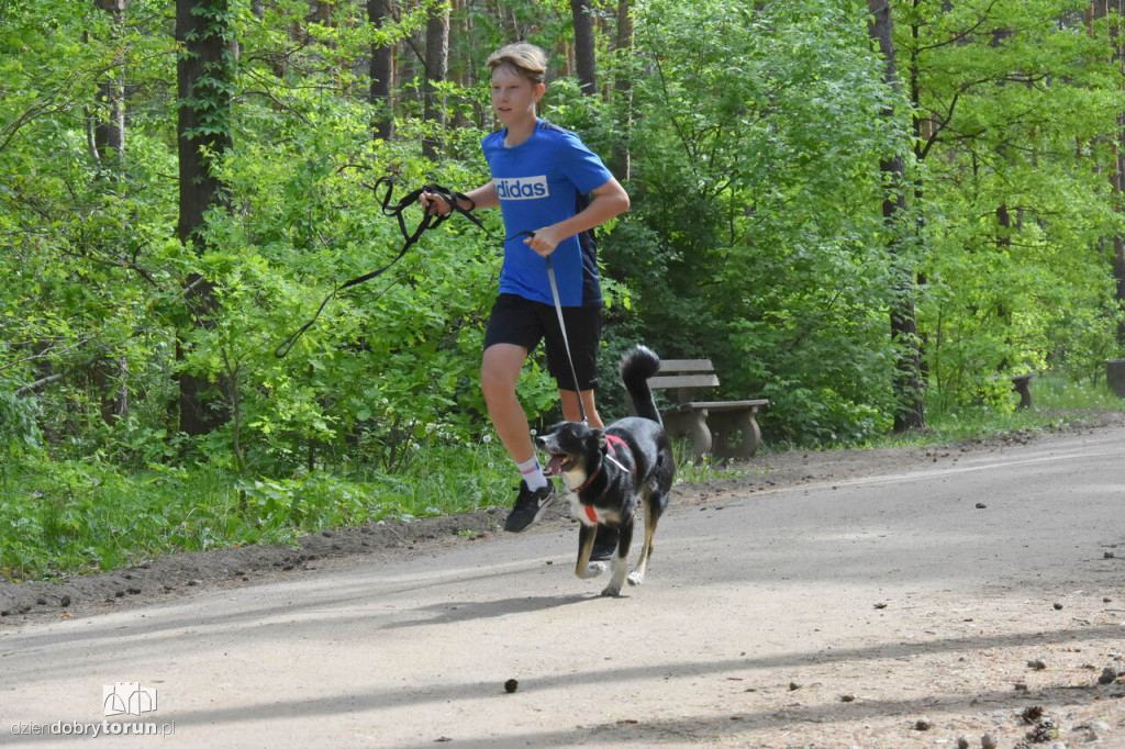 Sobotni parkrun w Toruniu