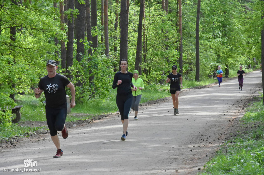 Sobotni parkrun w Toruniu