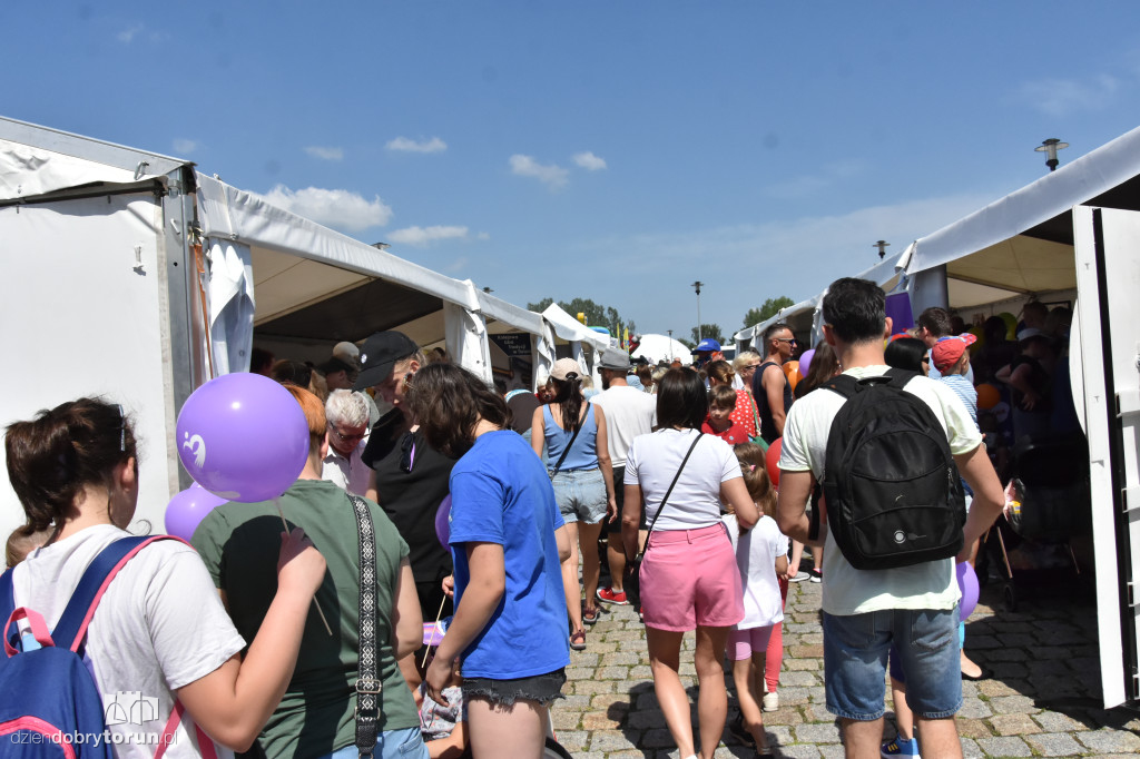 Piknik z okazji Dnia Dziecka w Młynie Wiedzy