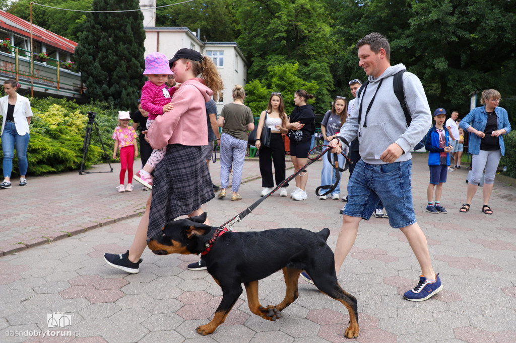 Akcja ,,Wyprowadź psa ze schroniska