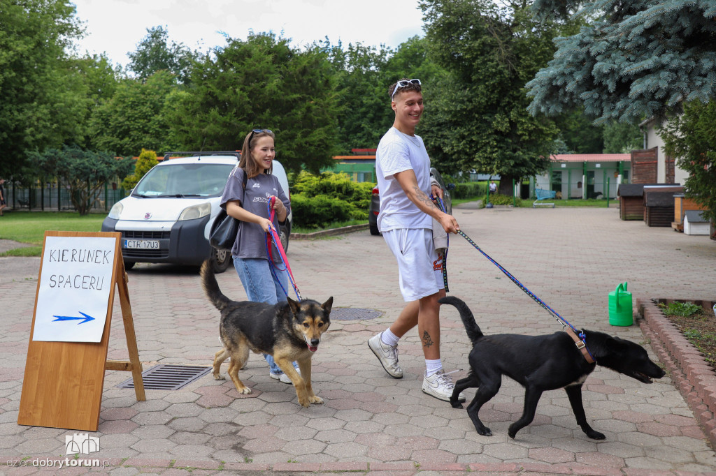 Akcja ,,Wyprowadź psa ze schroniska