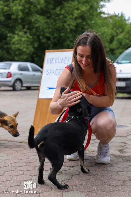 Akcja ,,Wyprowadź psa ze schroniska