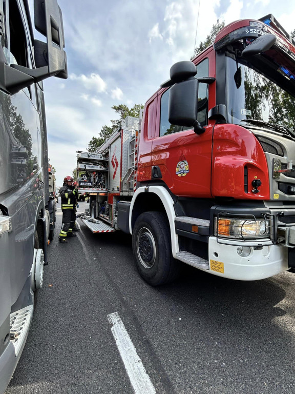 Śmierelny wypadek na DK 10 w Cierpicach