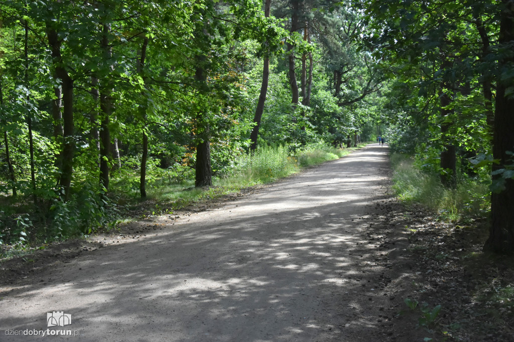 Sobotni parkrun w Toruniu